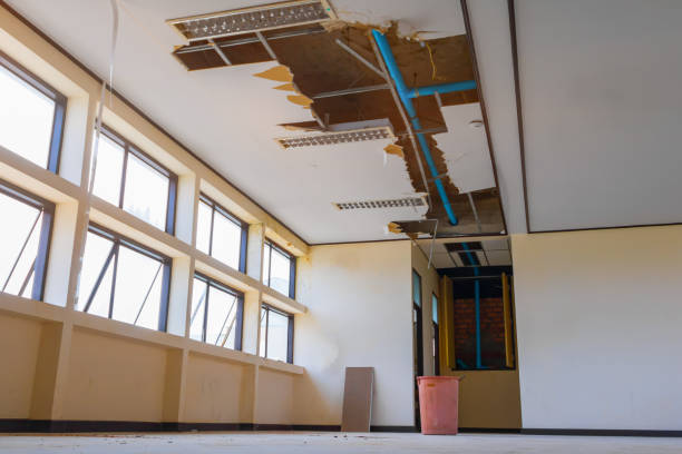 Best Commercial water damage restoration  in Newton, IA