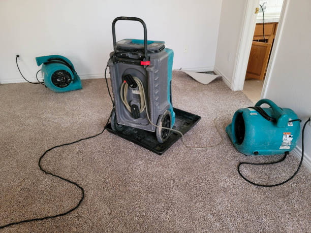 Best Fire Damage Restoration  in Newton, IA