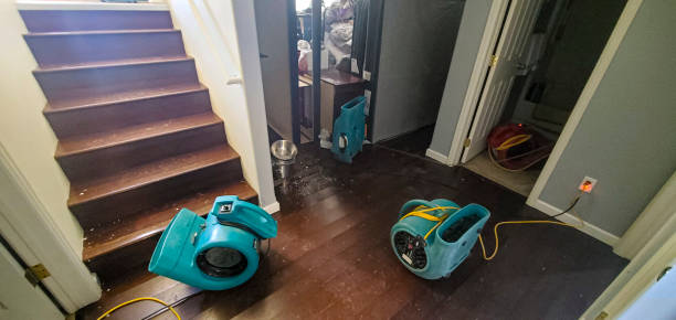 Best Local water damage restoration  in Newton, IA