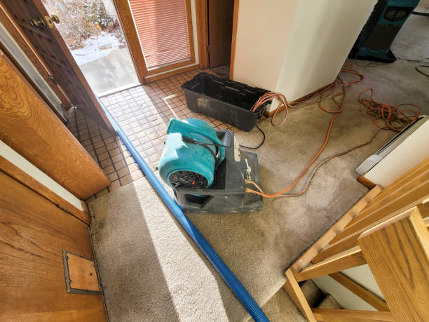 Best Water damage contractors near me  in Newton, IA