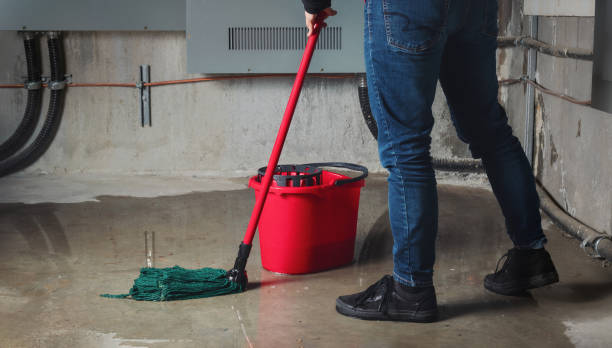 Best Water damage restoration near me  in Newton, IA