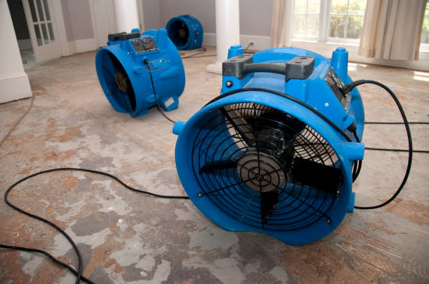Best Flood damage cleanup  in Newton, IA