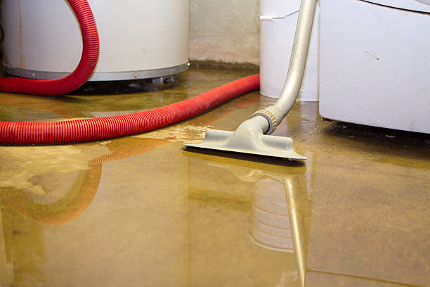 Best Emergency water extraction  in Newton, IA
