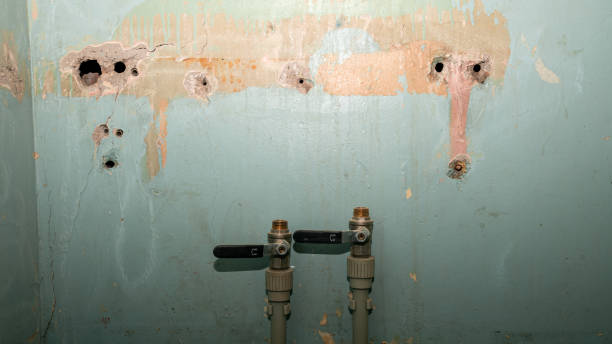 Best Flooded house restoration  in Newton, IA
