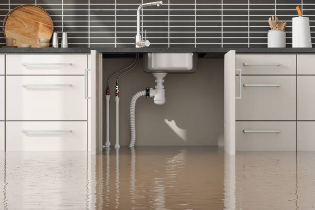 Best Water damage repair service  in Newton, IA