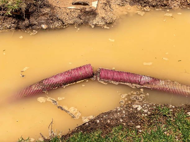 Best Sewage cleanup and water damage restoration  in Newton, IA