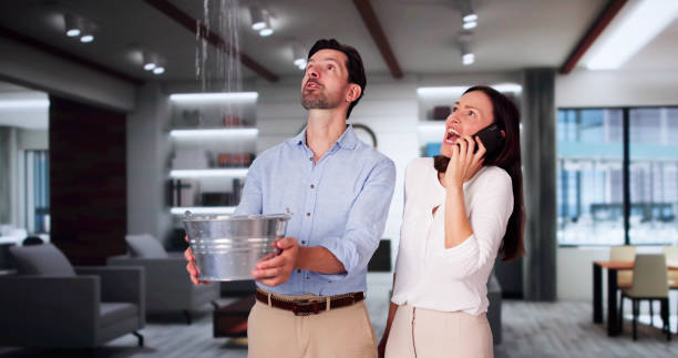 Best Mold removal after water damage  in Newton, IA