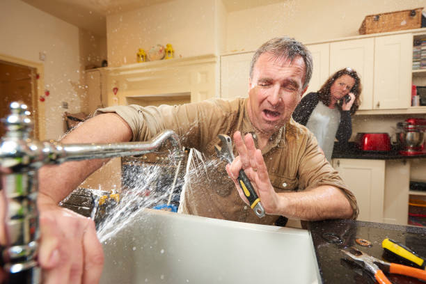 Best Carpet water damage restoration  in Newton, IA